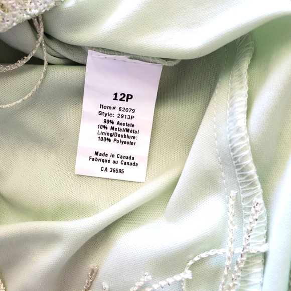 Jessica Green Metalic Ovelay Fringe Dress - Picture 6 of 6